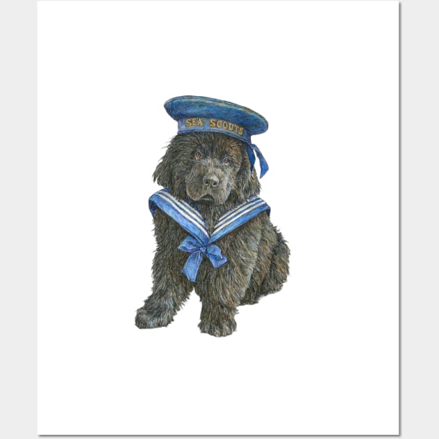 Newfoundland Puppy in blue Sea Scout hat Wall Art by Prairie Dog Print